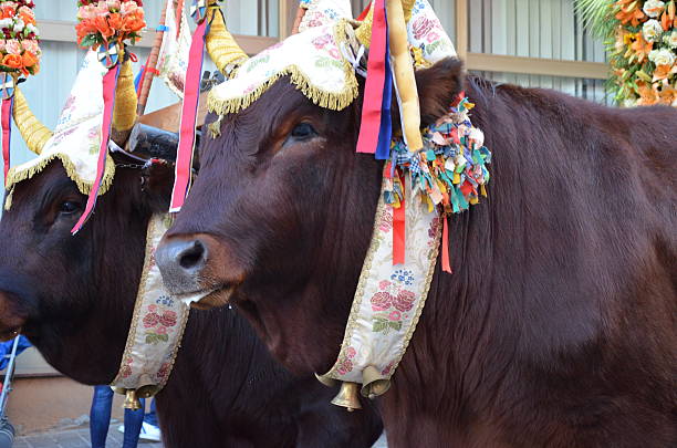 Sant'Antioco, Sardinia 05.06.2019: Saint Antioco, Sardinia - 04.16.2018: Religious procession of Sant'Antioco