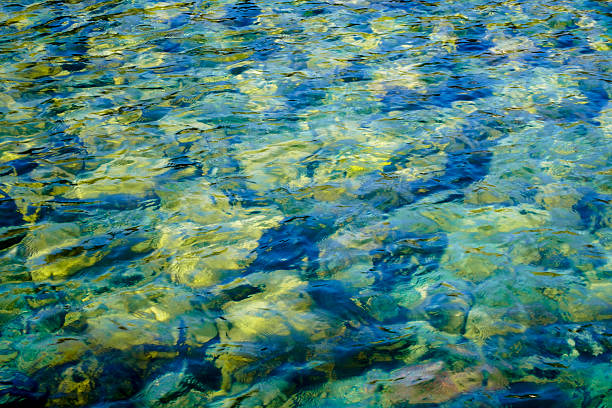The beautiful surface of the sea