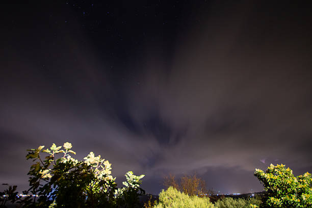 Night yard with a barn, trees and a street lamp in the city of Dnipro, Ukraine, night yard
