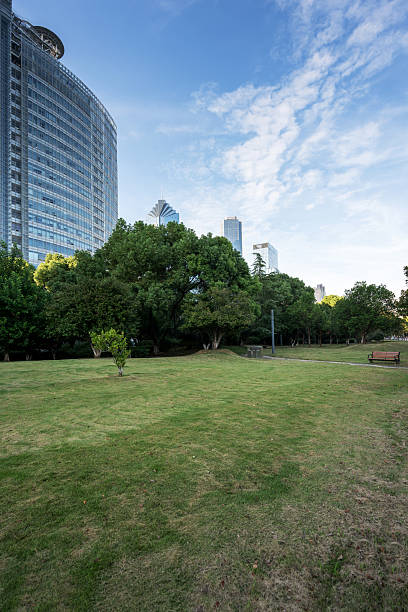 istock city park with modern building background in shanghai 2250293711