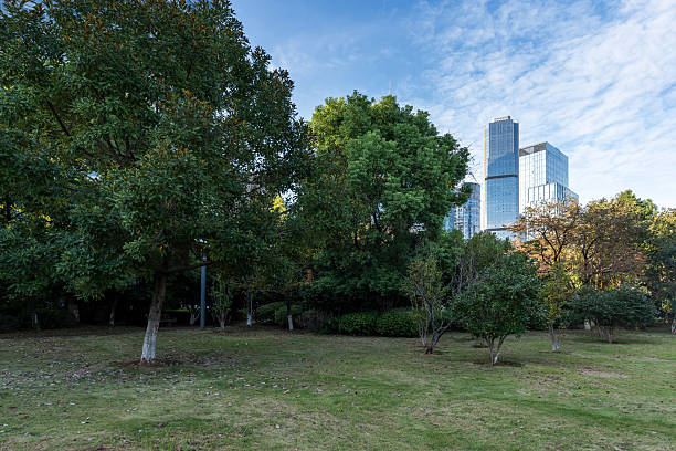 istock city park with modern building background in shanghai 2250293712
