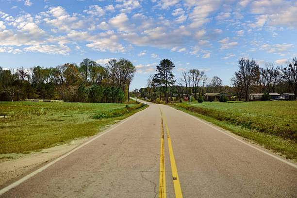 This is a photograph of an empty, tree lined road through a neighborhood in Asheville, North Carolina. The summer sun shines through the branches.