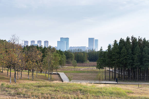 istock spring park and modern city 2250300905