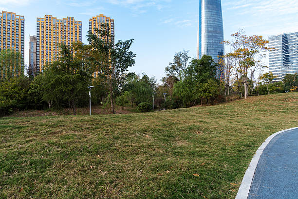 istock city park with modern building background in shanghai 2250300940