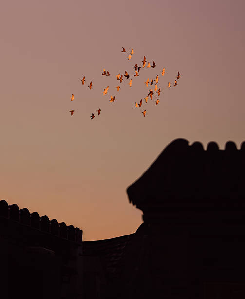 istock Drum Tower in Beijing China 2250301484