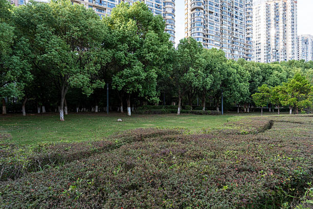 istock spring park and modern city 2250304398