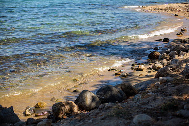 Clear lake water gently washing over a sandy shore with rocks and dappled light