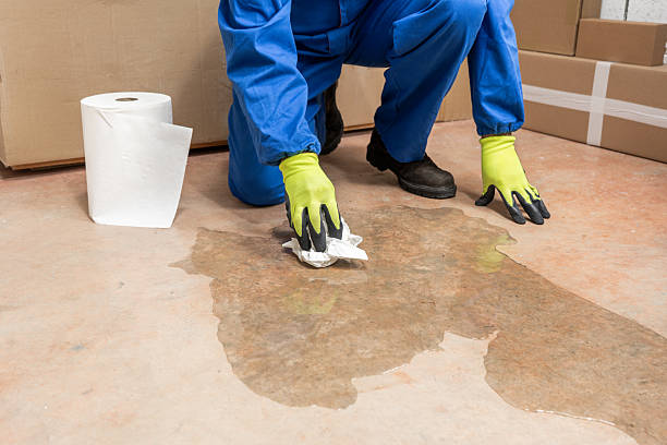 istock Worker cleaning-up a slip hazard on the floo 2250305906