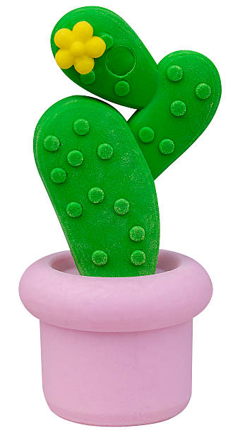istock 3D Mock up cactus in pink pot isolated on white background with clipping path 2250306965