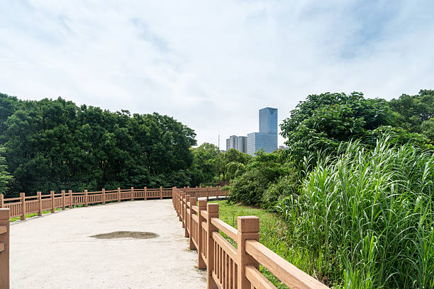 istock spring park and modern city 2250311223