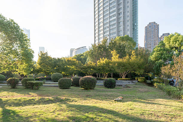 istock city park with modern building background in shanghai 2250311254