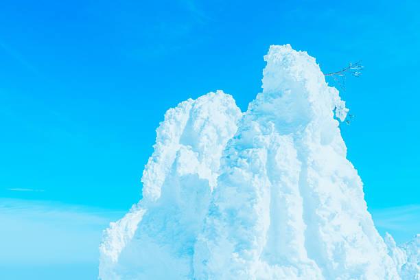Beautiful frost-covered trees in Zao, Yamagata