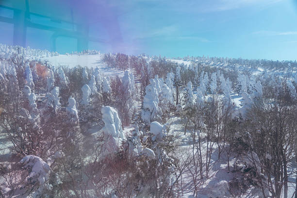 Beautiful frost-covered trees in Zao, Yamagata