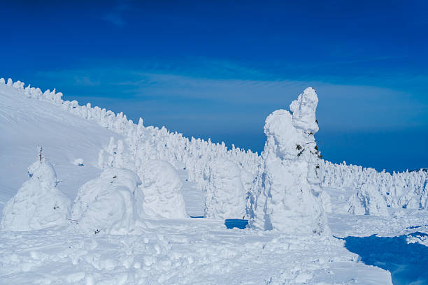 istock Beautiful frost-covered trees in Zao, Yamagata 2250321548