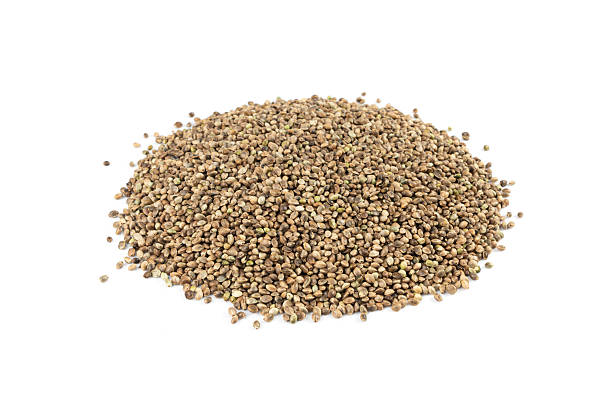 istock Hemp seeds, cannabis grains, marijuana kernels, oil hempseeds pile 2250321813