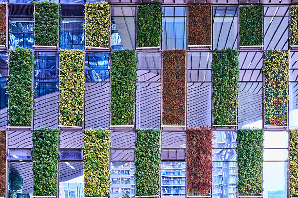 Green sustainable office building