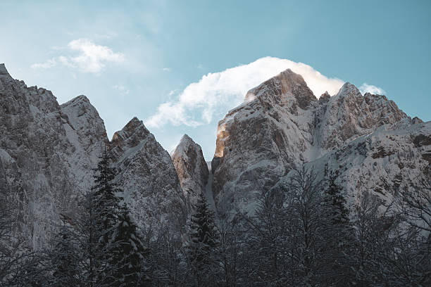 Snow covered jagged mountain peaks rise above a dense evergreen forest in a clear blue sky setting. The winter scene features natural alpine elements with sunlight illuminating the rocky surfaces and scattered clouds overhead