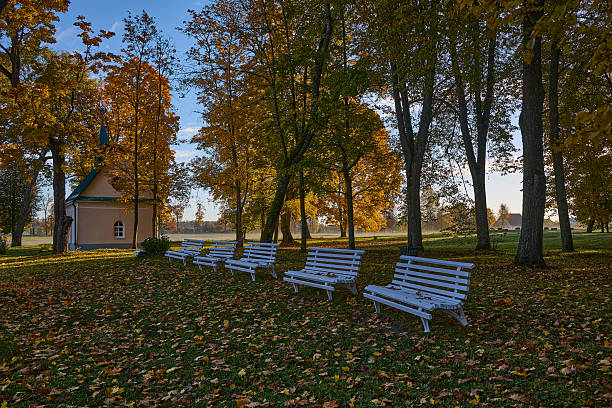 Autumn Park with Empty Benches in Morning Light