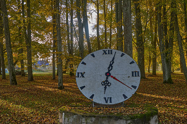 Large Outdoor Clock in Autumn Forest at Sunrise