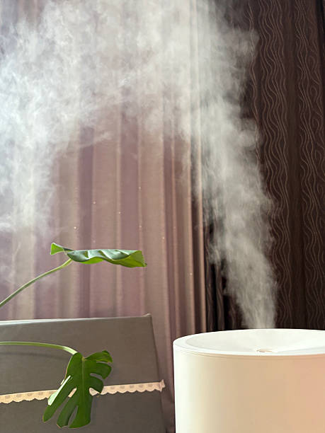 istock White steam of ultrasonic humidifier. 2250328723
