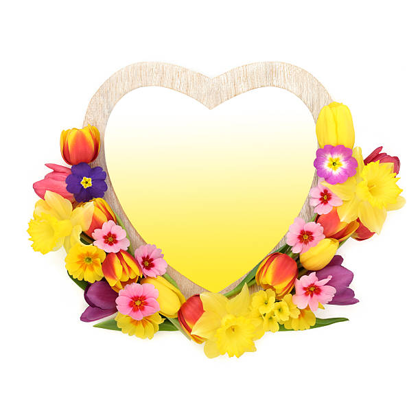 Spring season flower arrangement with heart wreath on white background with yellow gradient fill. Romantic design for Springtime and Easter.