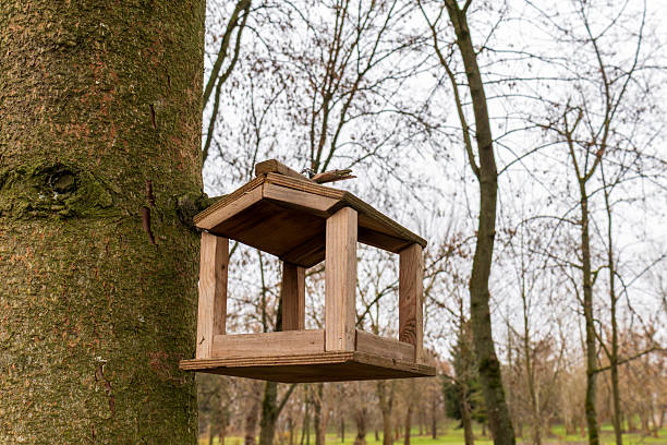 A bird feeder sits on a tree trunk in a park with no leaves on the branches and a cloudy sky above.