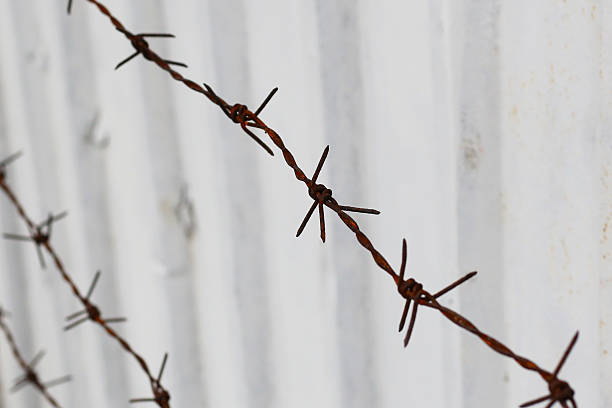 istock Barbed wire fence, a series of sharp-pointed wires stretched across a boundary for security or containment. 2250340384