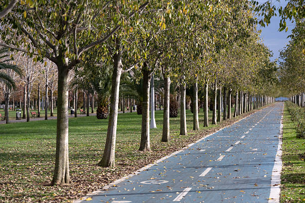 A beautiful autumn view from the city park