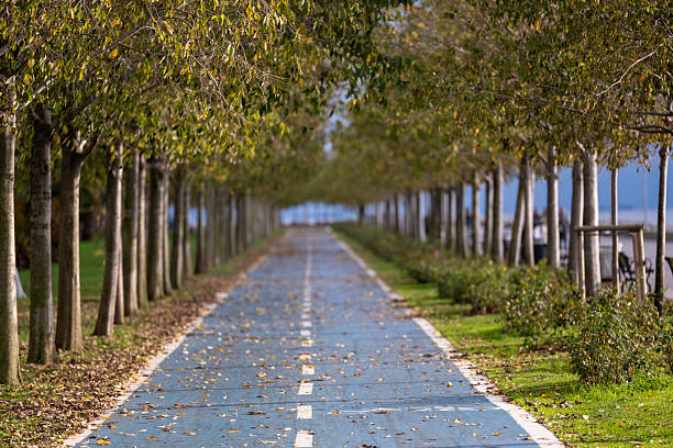 istock A beautiful autumn view from the city park 2250343553