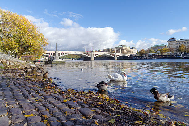 istock Manesuv bridge over the Vltava River, Prague, Czech Republic 2250344869