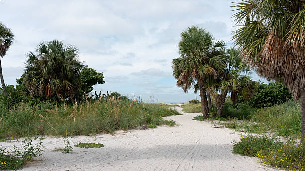istock Sandy path entrance to the beach 2250345229