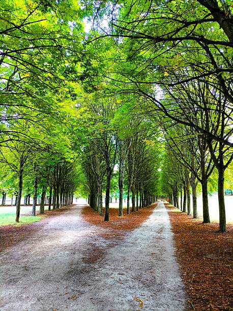 istock Saint-Cloud Park in the suburbs near Paris 2250350118