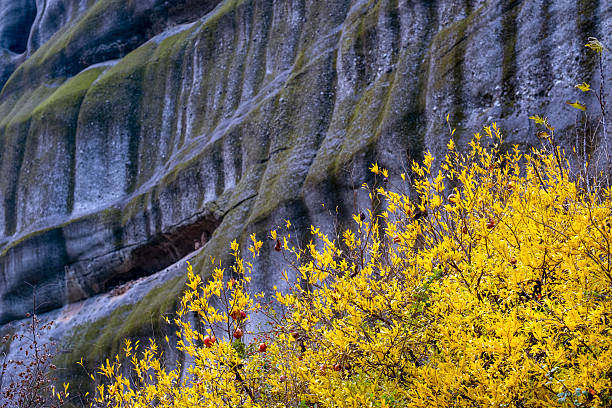 Yellow autumn colors of the Thessalian valley around Meteora