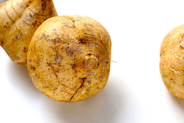 Mexican turnip or jicama or yam bean