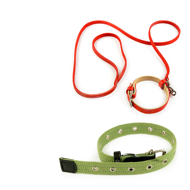 istock Red Leather Leash and Collars for Pet Dogs on White Background 2250355239