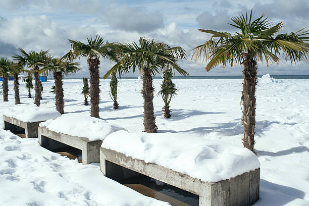 Beach after snowfall in unusually cold weather