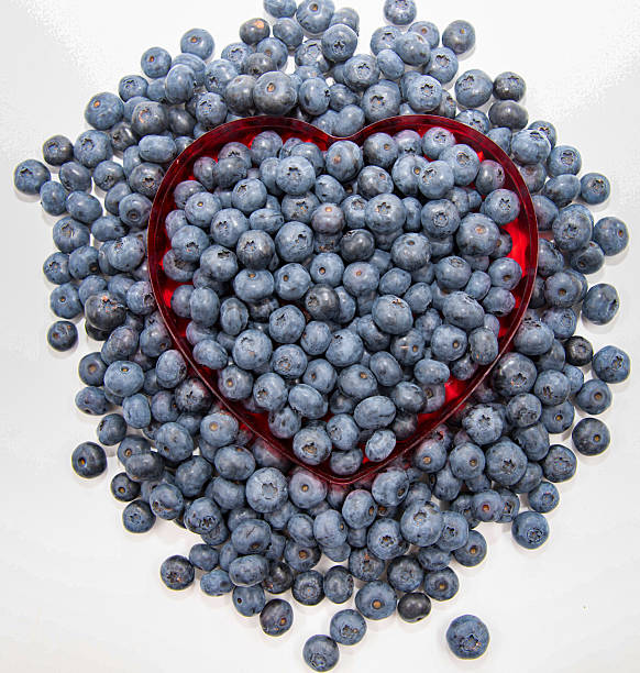 Close-up of freshly ripen blue viburnum berries growing on plant stem in farm
