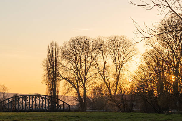 istock The old iron bridge, Poega, Croatia 2250360101