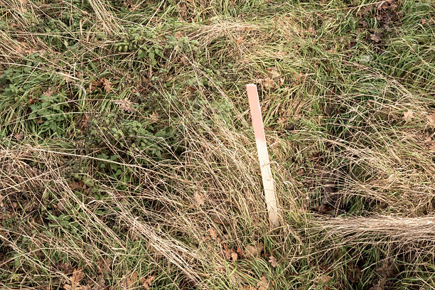 istock Wooden post marking property boundary in overgrown grass 2250361660