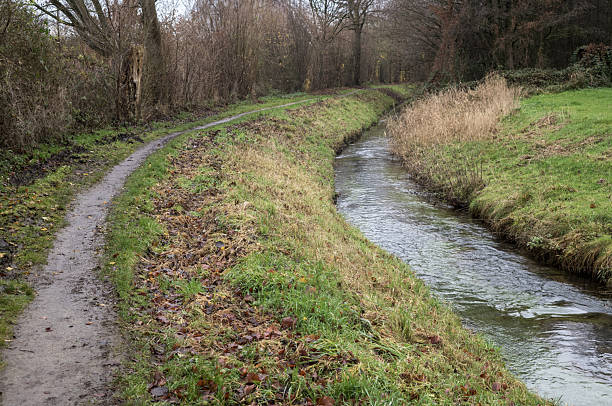 Dirt path and flowing stream in a natural winter setting with sparse trees