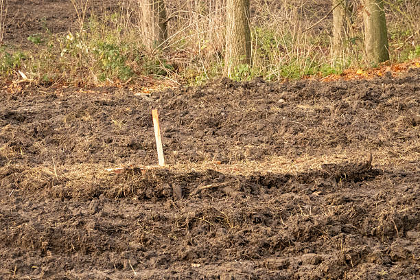 istock Plowed field with wooden stake next to forest 2250361721