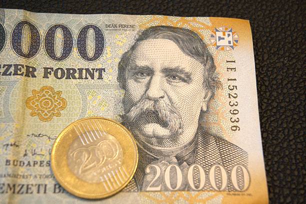 istock Number 20000 Forint Banknote on Black Background with Copy Space 2250362310