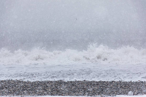 Winter sea landscape with strong waves crashing on pebble shore during snowfall and blizzard, grey sky and cold atmosphere create a moody and dramatic coastal scene