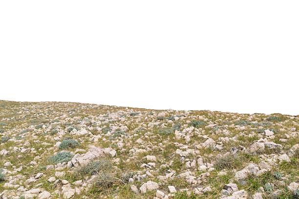 Rocky terrain with sparse vegetation. Isolated object on a white background.