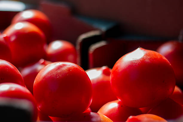 istock Fresh Red Tomatoes at the Market Stall 2250366307