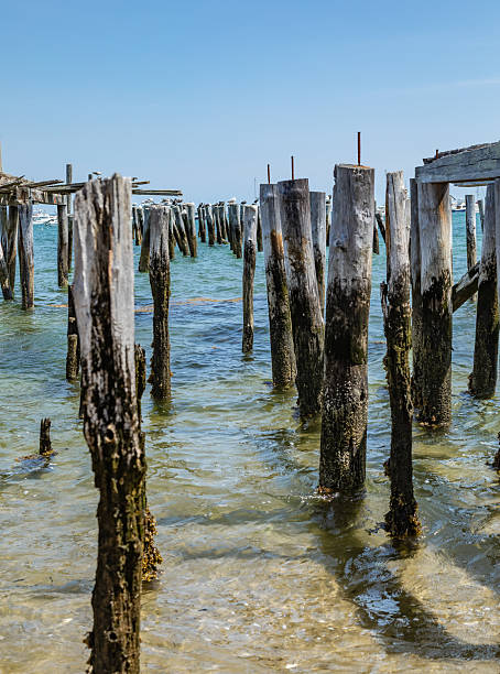 Weathered wooden pilings stand along a shoreline, remnants of an old pier overlooking clear blue coastal waters under a bright summer sky.
