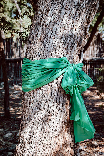 istock Green Ribbon Wrapped Around a Tree 2250372299