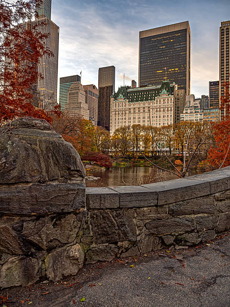 istock Gapstow Bridge in Central Park, late autumn 2250373544