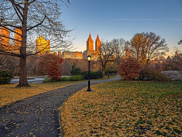 istock Autumn in Central Park, early morning 2250373573