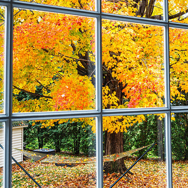 istock Back Yard Hammock and Bright Autumn Leaf Colors 2250380593